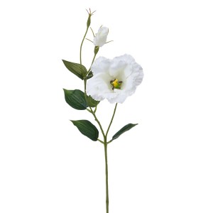 7-003LI CREAM